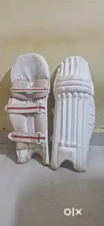 Cricket Pads