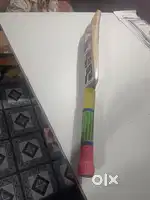 SS ENGLISH WILLOW MASTER EDITION