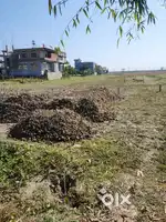 25 lecha myadi land for sale in pathsala town