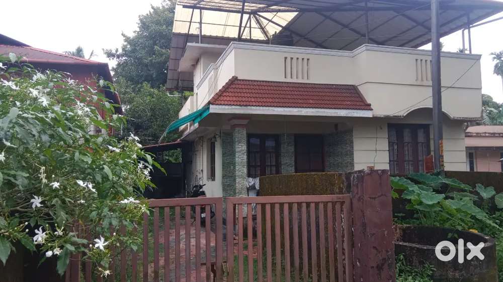 HOME+ 3 CENT 2 മീറ്റർ Road
