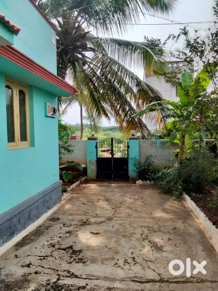 1Bhk individual house for sale