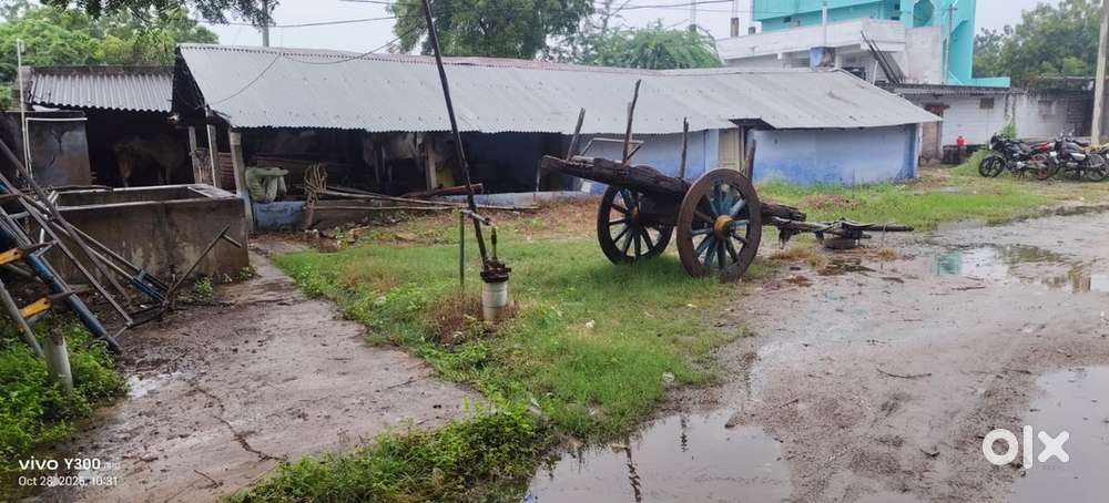 Total land is 18 cents in lakshipuram cost each 3.5 L negotiable