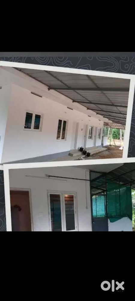 Rental accomodation for bachelors