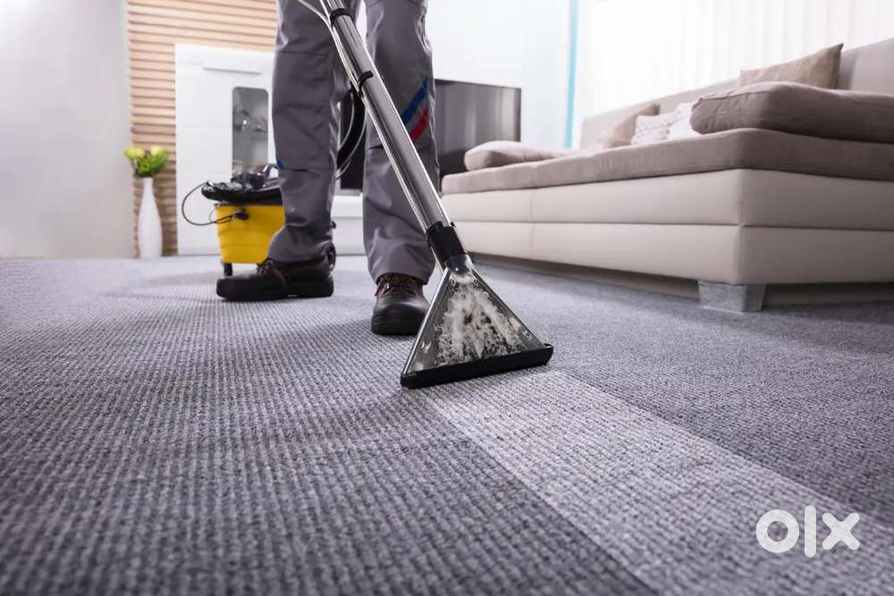 Carpet Cleaning Services