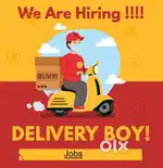 Delivery boy (jaipur jagatpura)