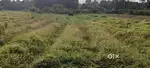 Agricultural land for sale 1 acre 4 cents - Ernakulam elavoor