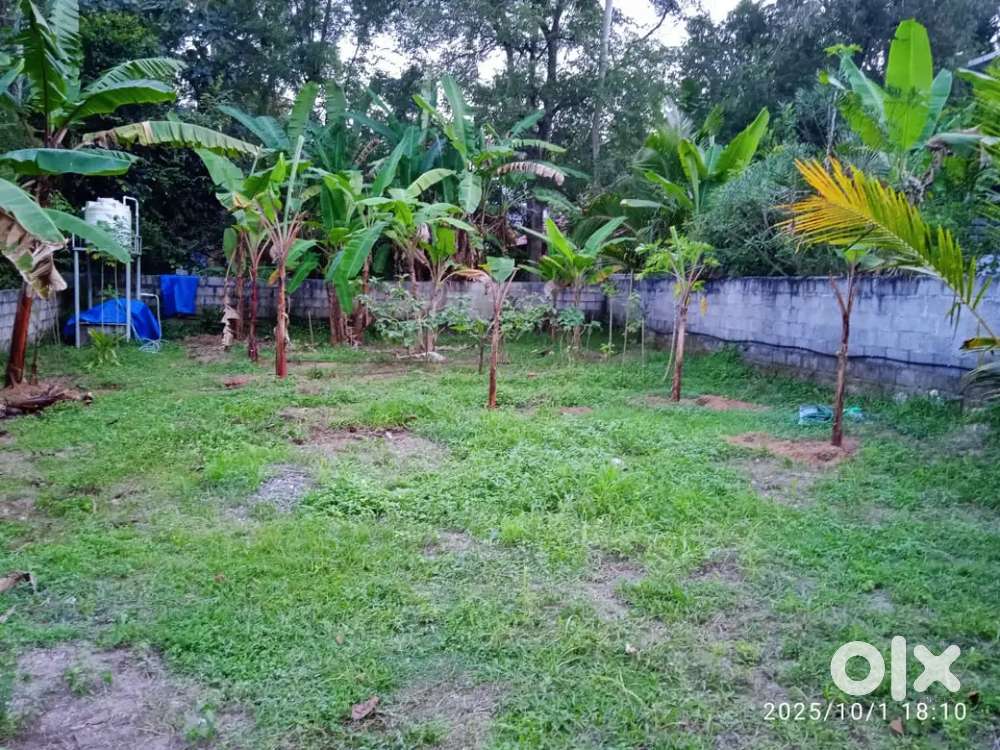 5 cents land for sale