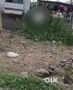 2 guntha best land