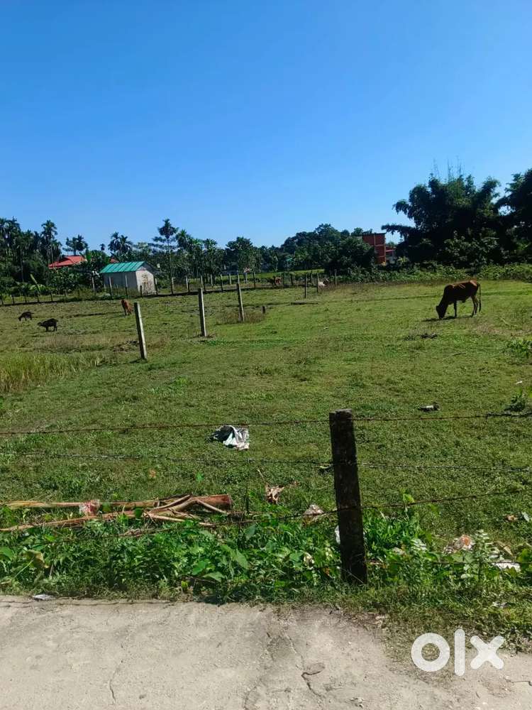 General land, registered land near madarihat railway station