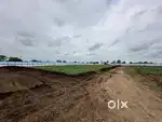 Farm plot for sale