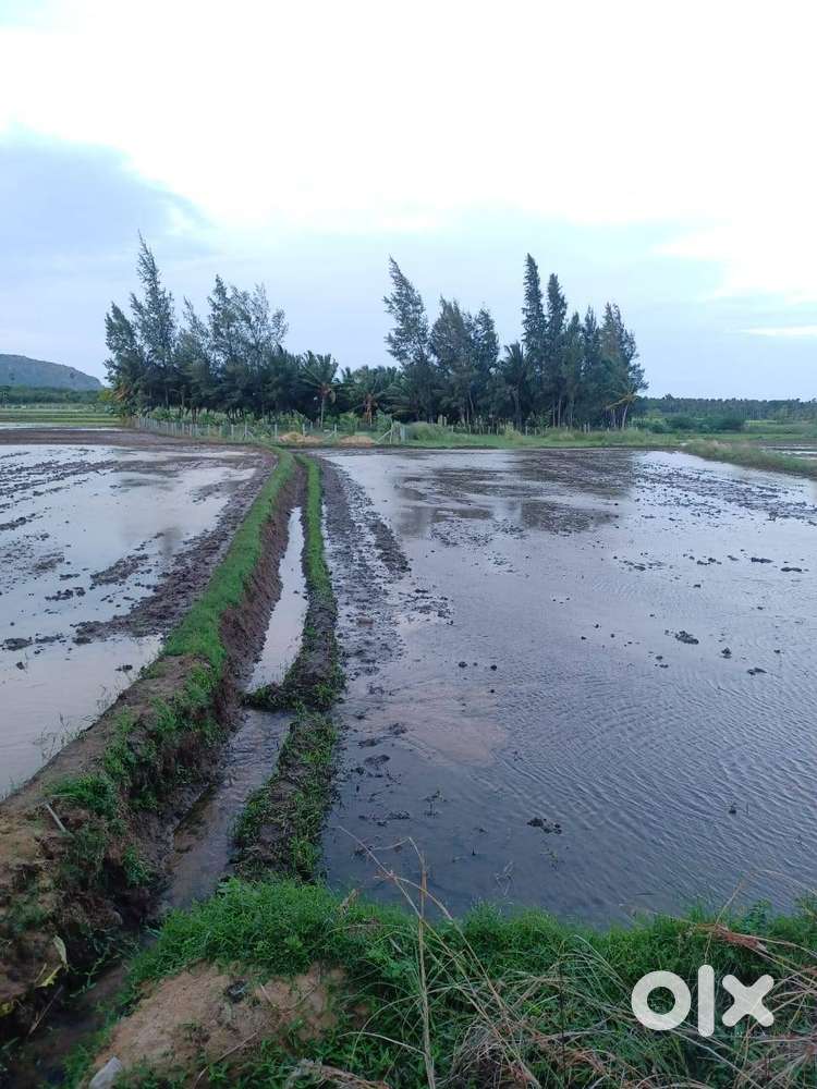 VAYAL  @ செண்பகராமன்புதூர்