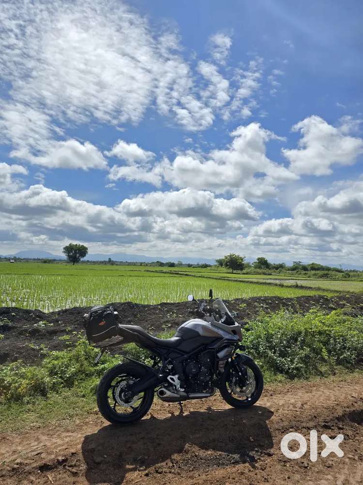 Triumph Tiger 660 2024 model