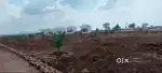 Agriculture Lands