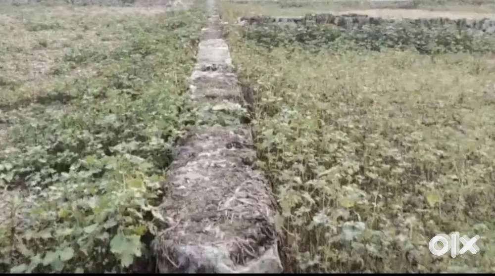 1 Bigha Myadi Patta Land for sale near jalukbari