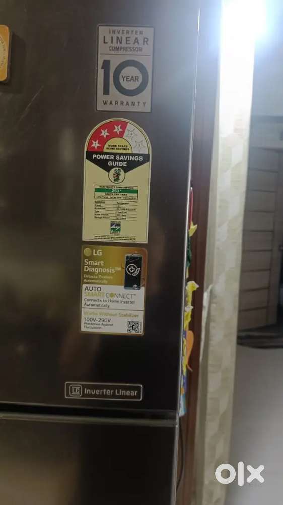 356 Litres LG Double Door Refrigerator