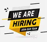 Personal assistant (work from home and office work)