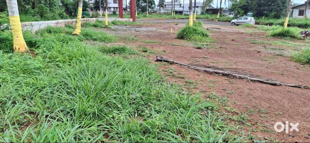 9 Cent House plot for sale in Viyyakurissi,Palakkad