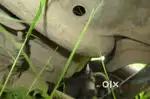 Qualis best scrap cars buyer cars scrap dealer old cars buyers