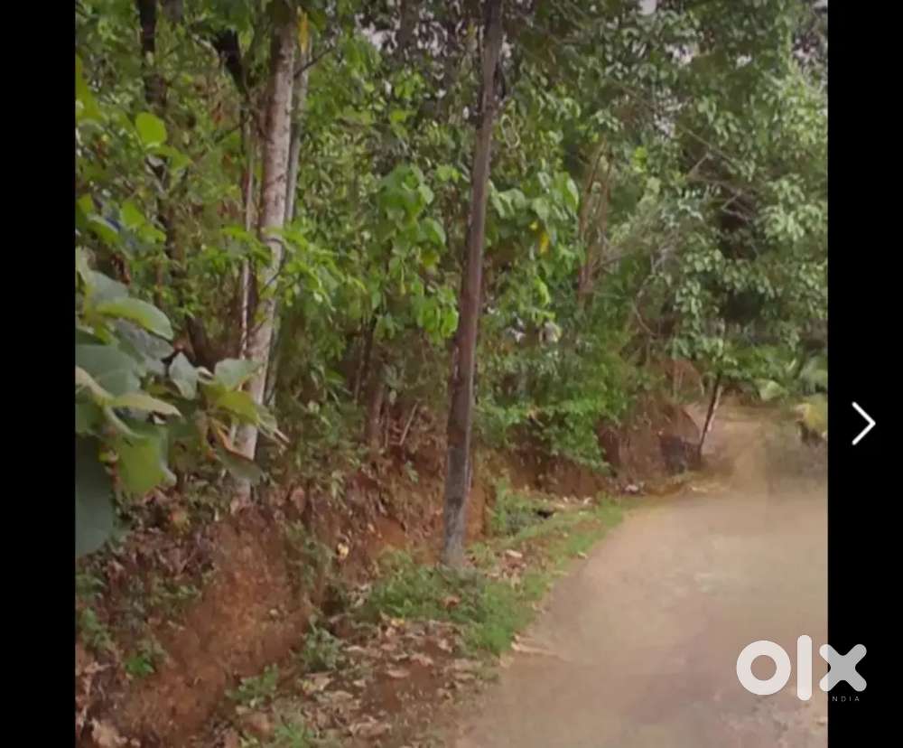 20 cent land / house plot for sale