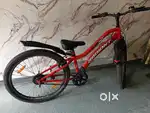 Radiant cycle