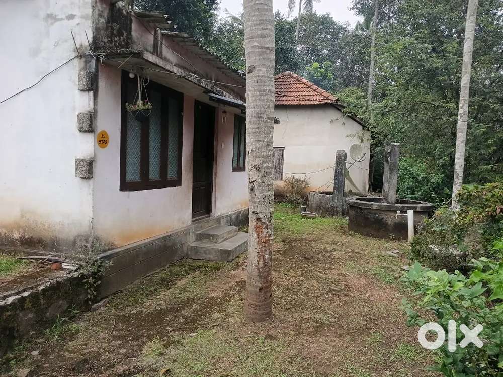 90 Cent Property with House & Small-Scale Quarry Potential in Kadakkal