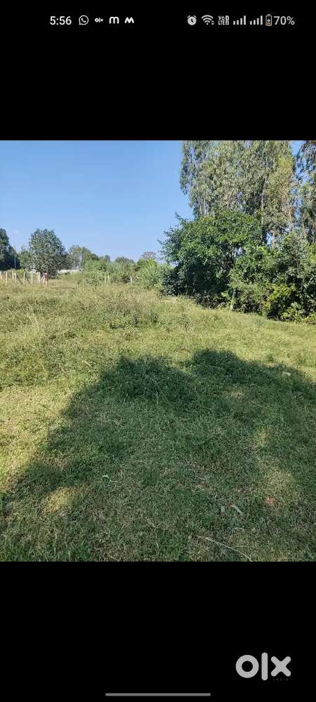 Plot for rent