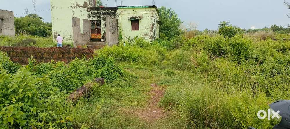 Electricity,Concrete Road connected to the plot.