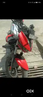 2024 model november
