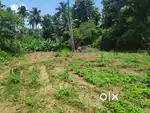 20 cent residential plot for sale at Shasthamkadavu,Kodannur,Thrissur