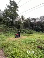 15 cent land near kallekulam town