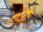 ORANGE CYCLE