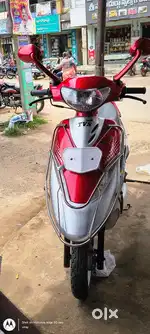 Pep plus cutie