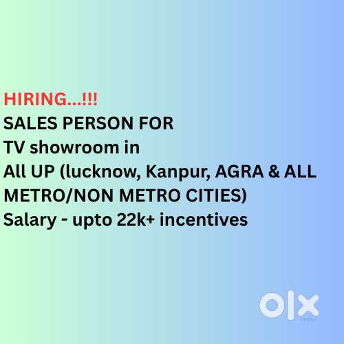 Sales Executive