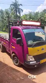 Super Ace Mint 2019 Model For Sale