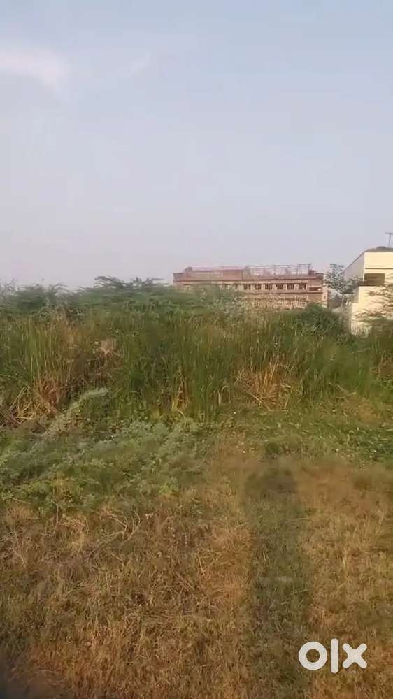 Land available at kaikaluru main road court area