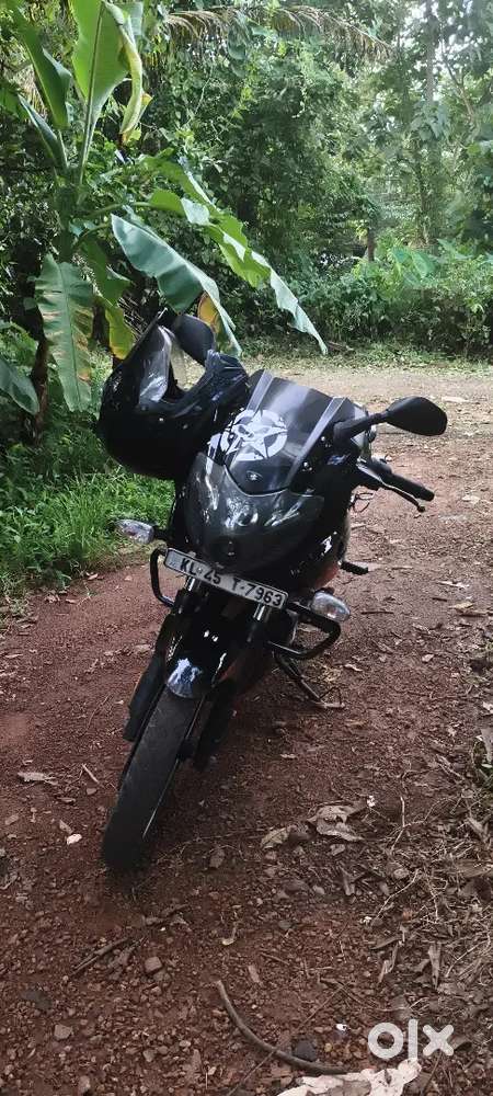 Pulsur 220