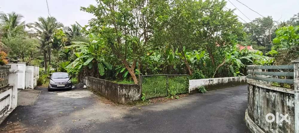 Kothamagalam -Thankalam 13.5 Cent Residential plot for sale