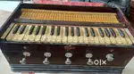 Male- male harmonium