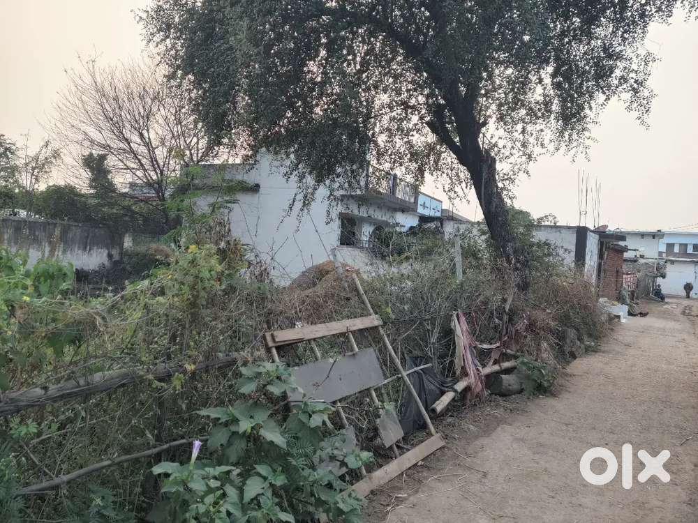 “7 dismil zameen bikau – main road ke paas – gaon me basti ke andar