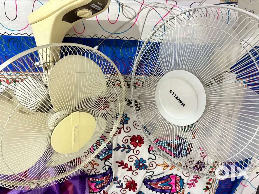 Wall Fan Havells and Luminous