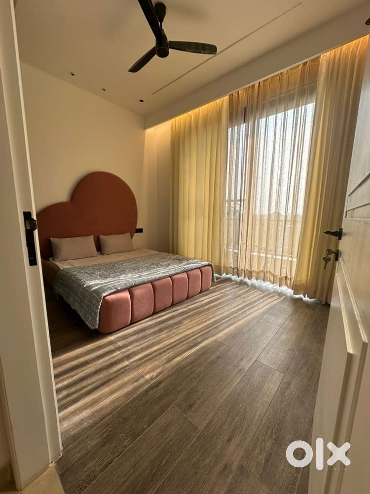 Pg for girls with food