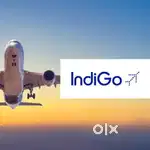 Job in Indigo Airlines urgent Hiring Apply Now