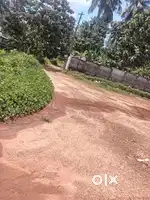 Plot For sale