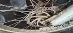 Bike cycle okay condition Gair front front Des