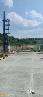 Best property