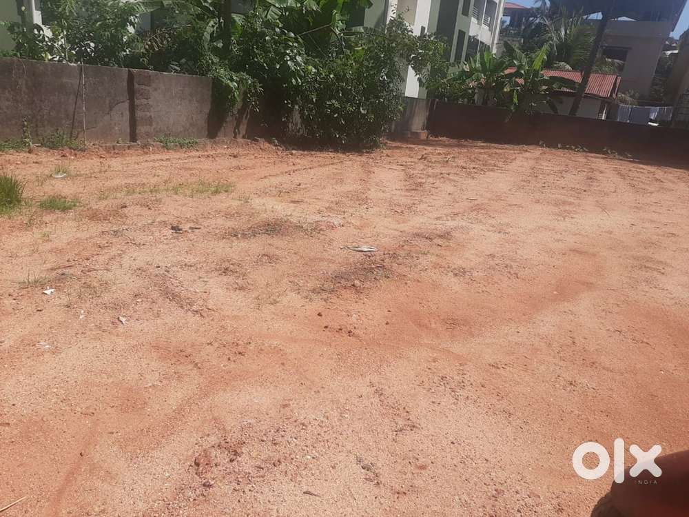 6 cents  land in urwa