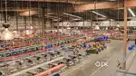 LET'S REEMPLOY THE STAFF FOR WAREHOUSE