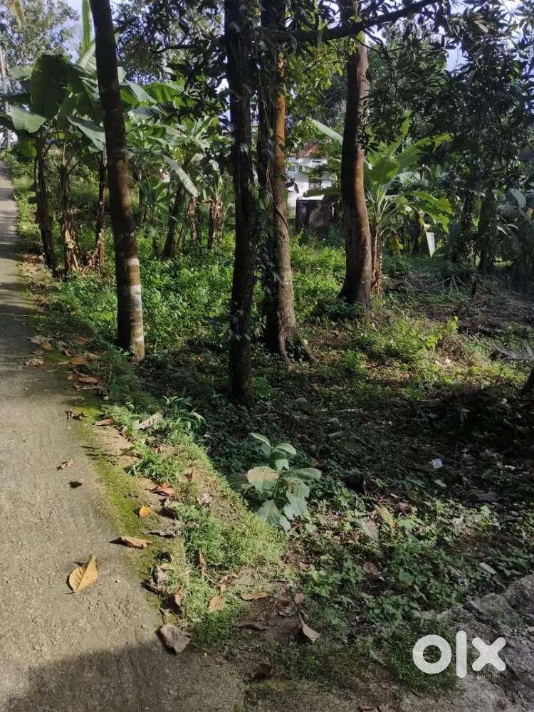 Residential Plot for Sale - Valacode, Punalur