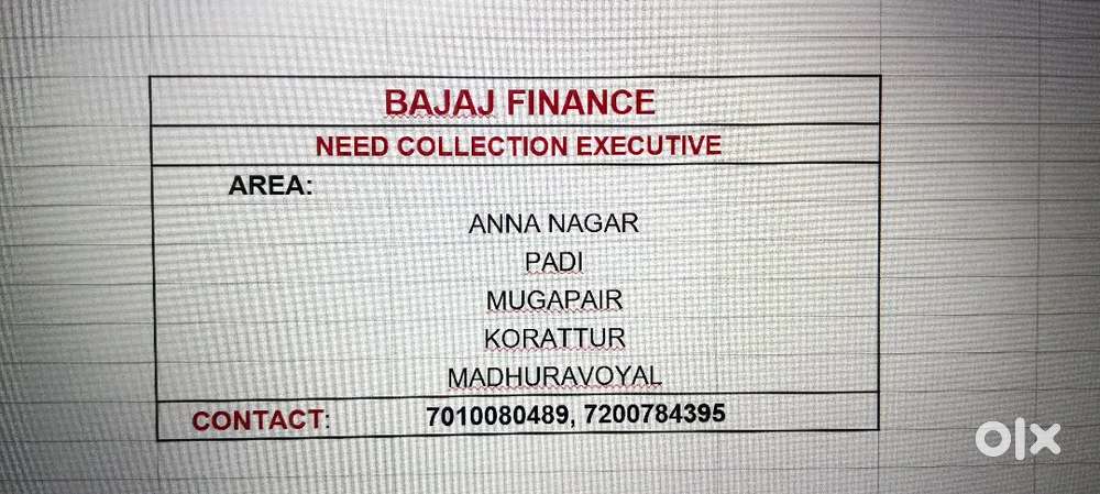 COLLECTION EXECUTIVE