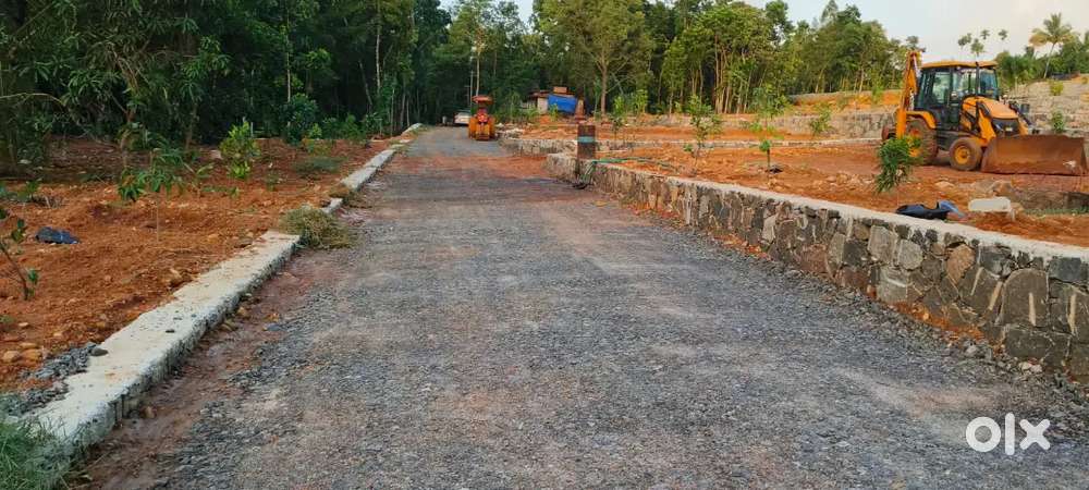 NEAR ANGAMALY ST.MARY'S CHURCH ELAVOOR 4,5,6,10 CENT PLOTS AVAILABLE
